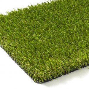 EverLawnPearl scaled