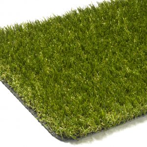 EverLawnRuby scaled