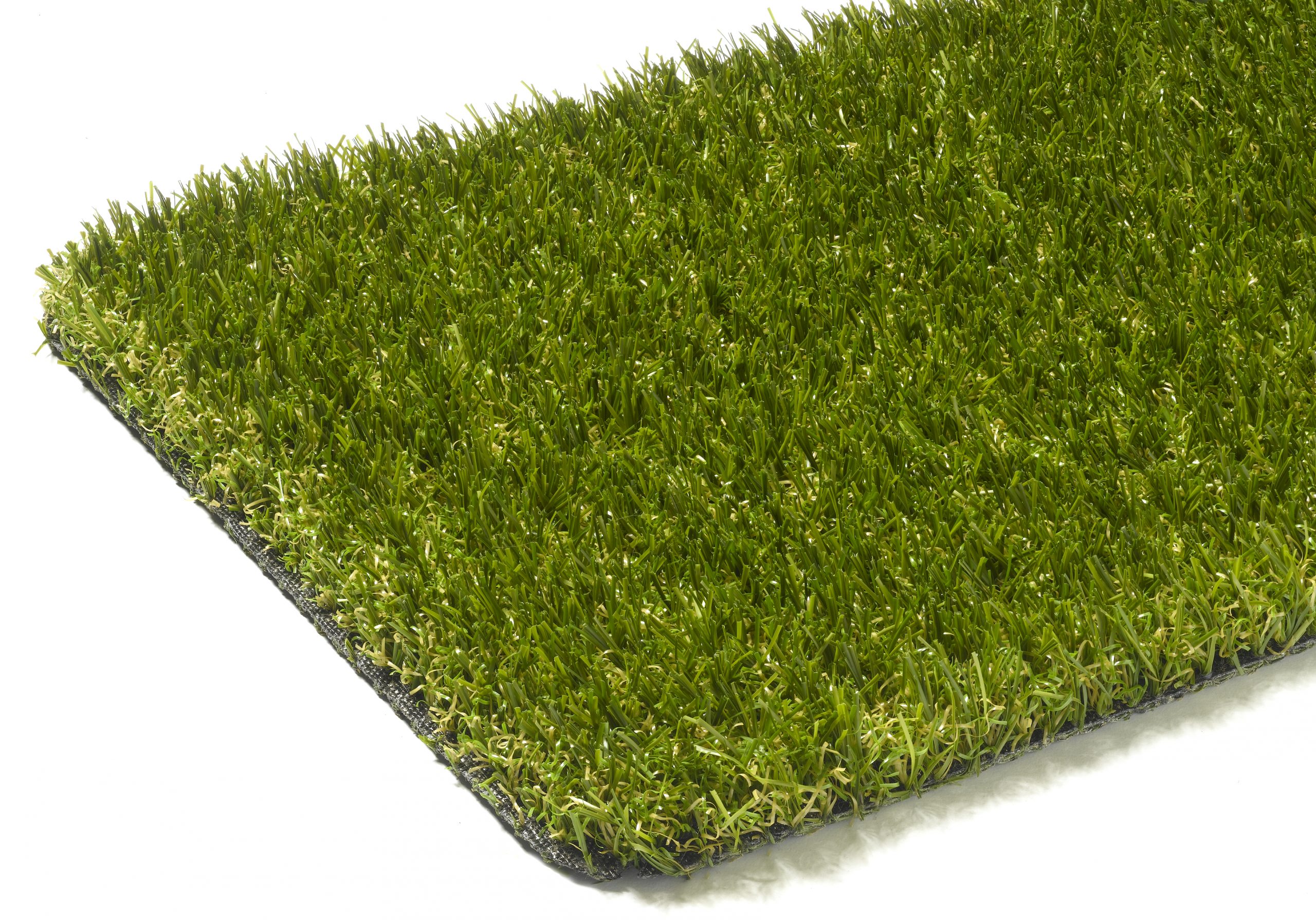 EverLawnRuby scaled